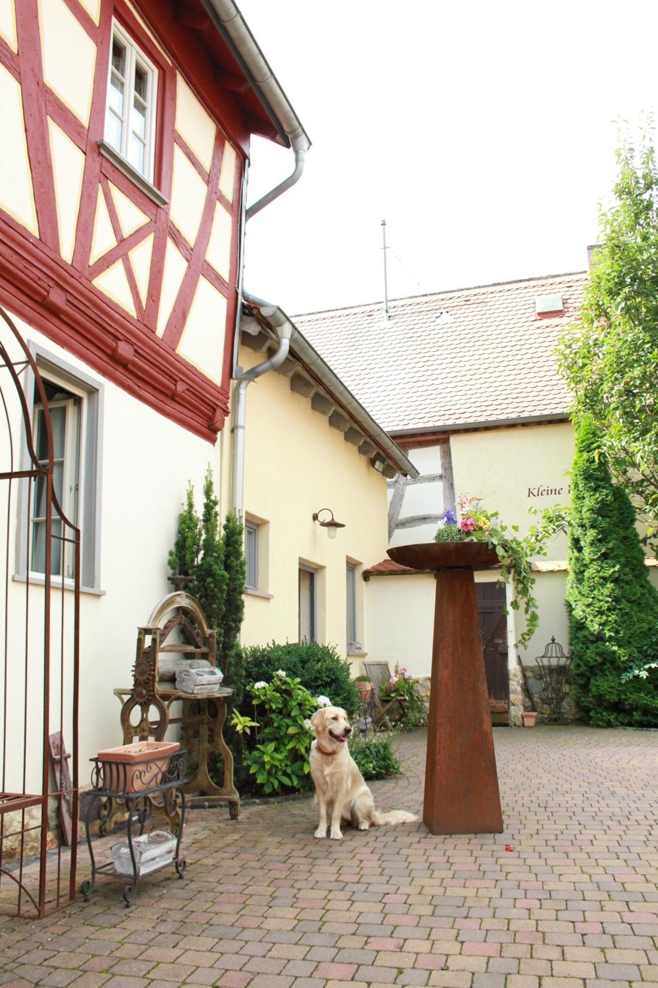 Kleine Residenz Am Schloss Hochheim am Main Exteriér fotografie